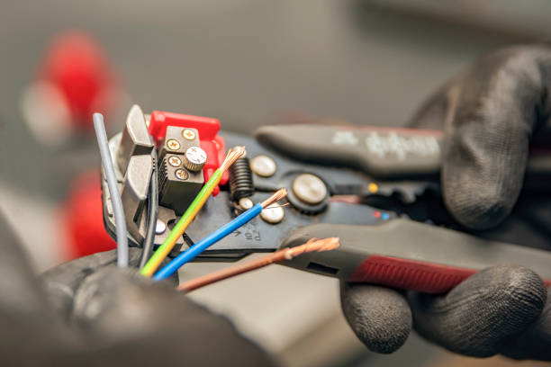 Best Electrician for Home Renovation  in Round Lake Park, IL